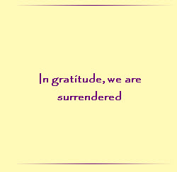 In gratitude, we are surrendered.
