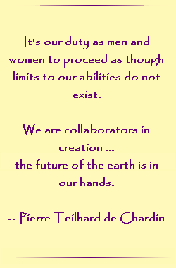 It`s our duty as men and women to proceed as though limits to our abilities do not exist.  We are collaborators in creation .... the future of the earth is in our hands.
