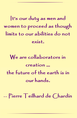 It`s our duty as men and women to proceed as though limits to our abilities do not exist. We are collaborators in creation .... the future of the earth is in our hands.