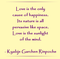 Love is the only cause of happiness. Its nature is all pervasive like space. Love is the sunlight of the mind.