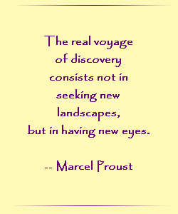 The real voyage of discovery consists not in seeking new landscapes but in having new eyes.