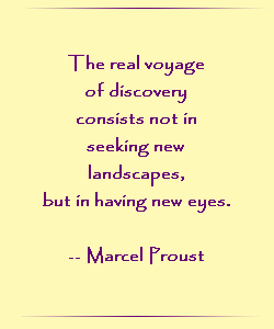 The real voyage of discovery consists not in seeking new landscapes, but in having new eyes.