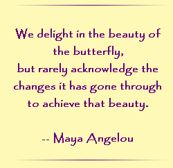 We delight in the beauty of the butterfly.