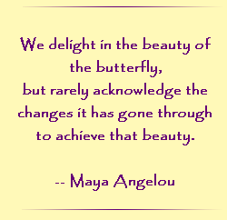 We delight in the beauty of the butterfly, but rarely admit the changes it has gone through to achieve that beauty.