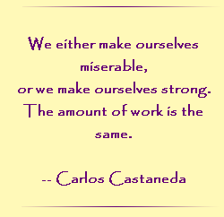 We either make ourselves miserable, or we make ourselves strong. The amount of work is the same.